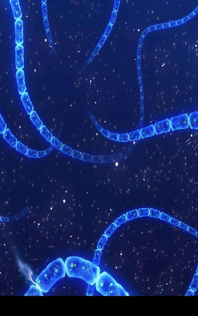 +99 Wooden stick Chapter 73 - Page 217