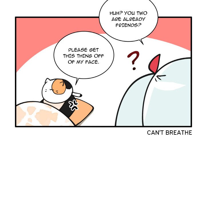 The Amazing Siblings Chapter 165 - Page 14