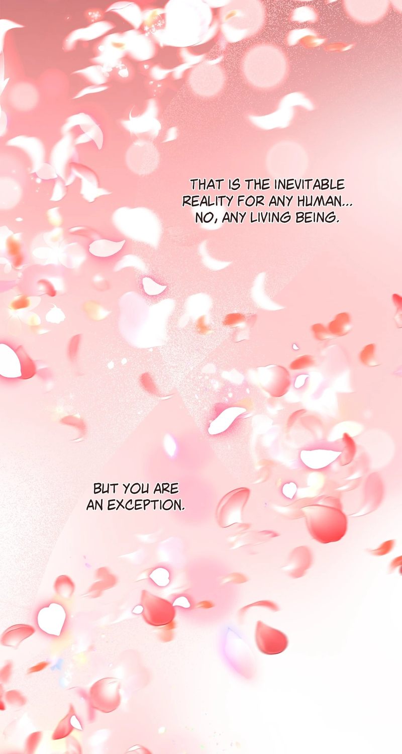 Skeleton Soldier Couldn’t Protect the Dungeon Chapter 334 - Page 146