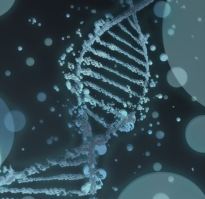 Leviathan Chapter 173 - Page 121