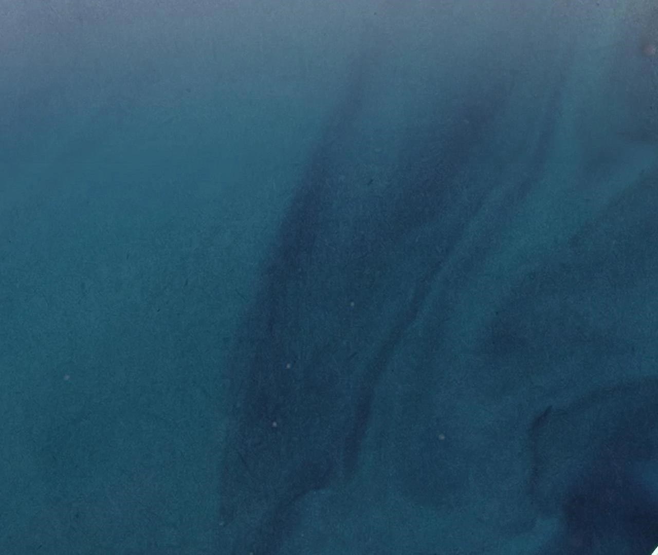 The Eternal Supreme Chapter 410 - Page 82