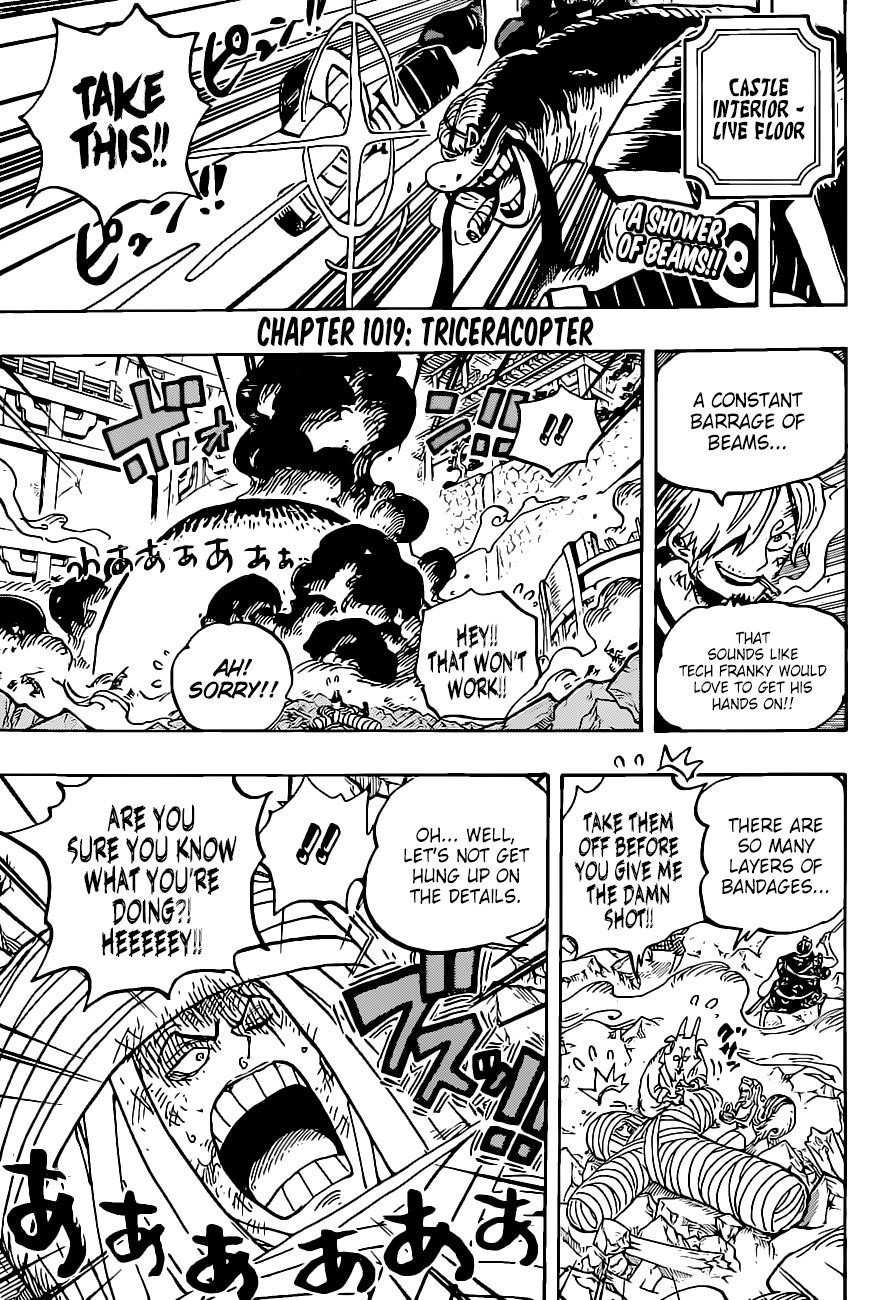 One Piece Chapter 1019 - Page 4