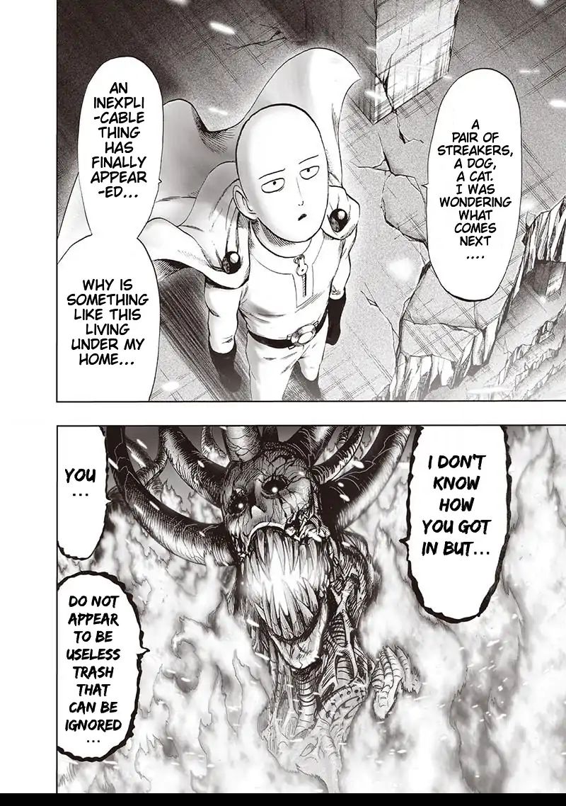 One Punch Man Chapter 158 - Page 19