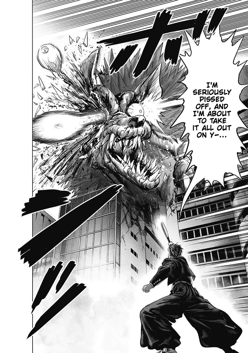 One Punch Man Chapter 239 - Page 29