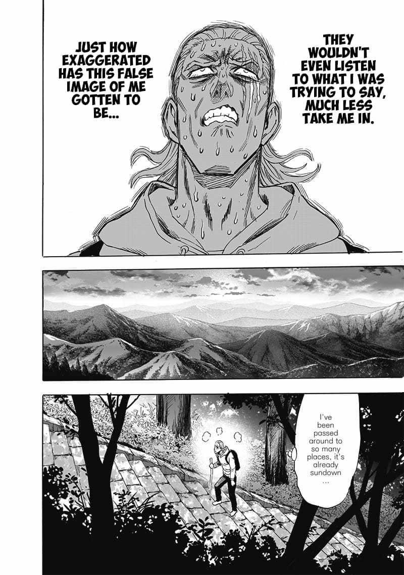 One Punch Man Chapter 252 - Page 19