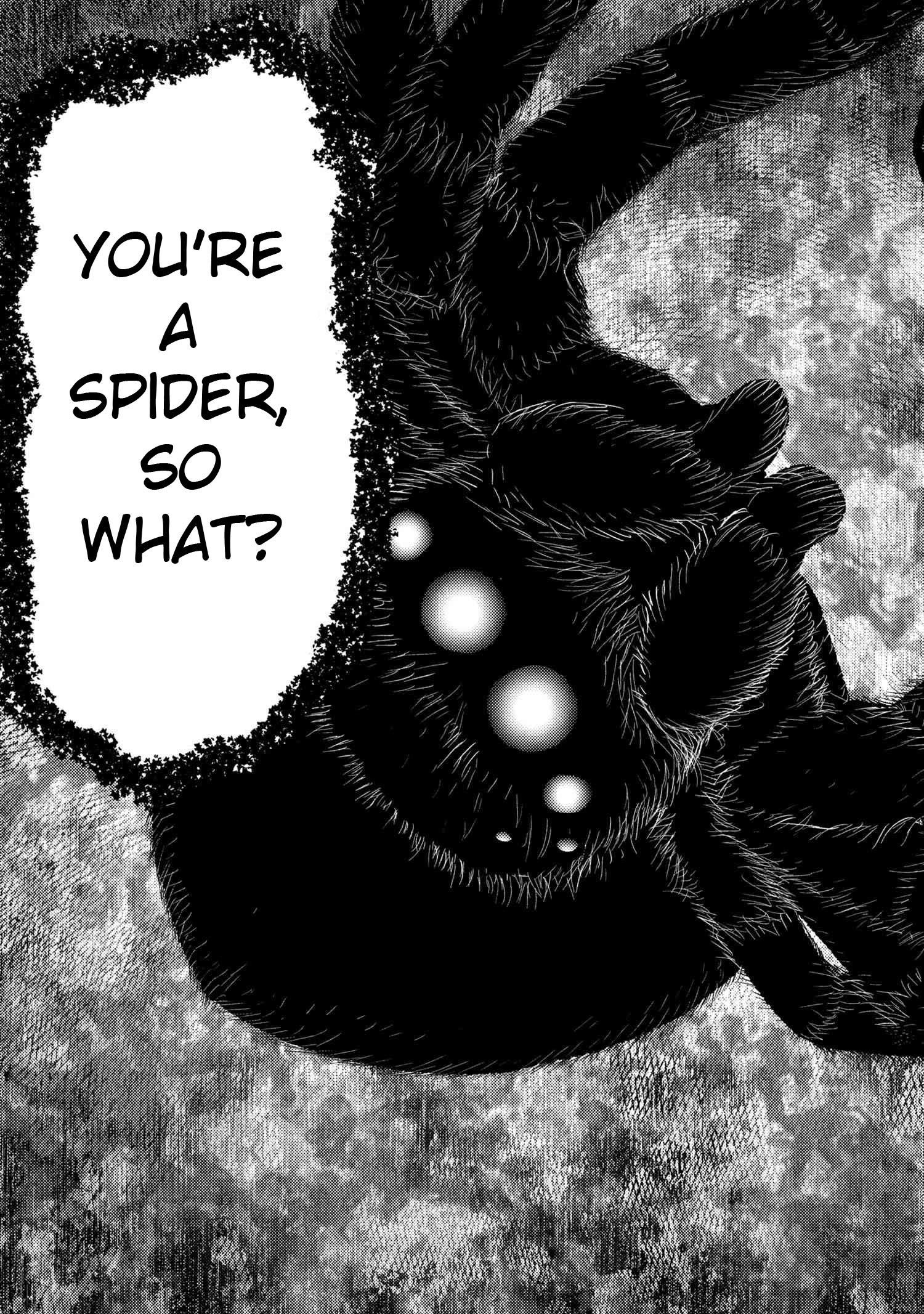 Kumo Desu Ga, Nani Ka? Chapter 75.2 - Page 13
