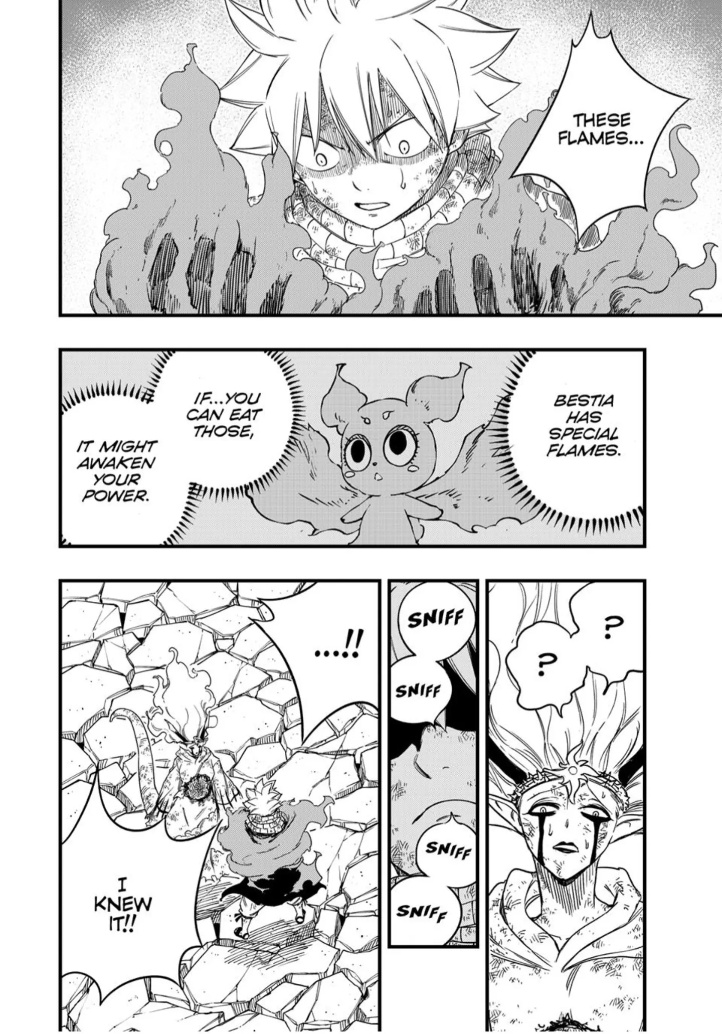 Fairy Tail 100 Years Quest Chapter 197 - Page 14