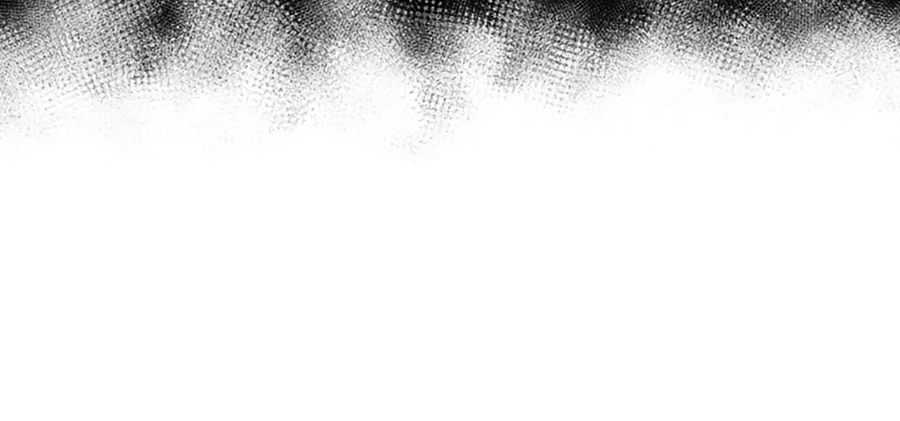 Surviving as an Illegitimate Princess Chapter 3 - Page 9