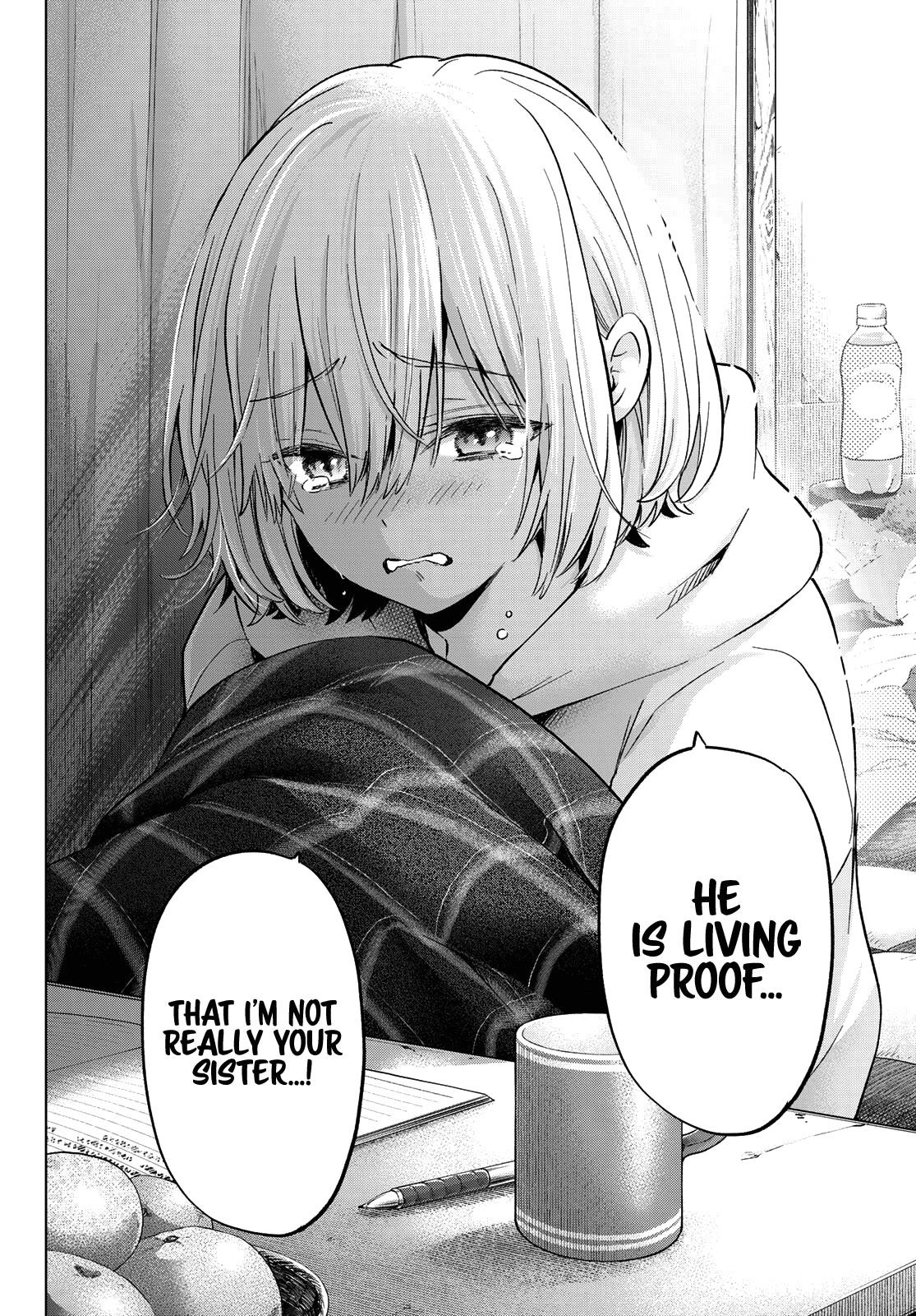 A Couple of Cuckoos Chapter 144 - Page 17