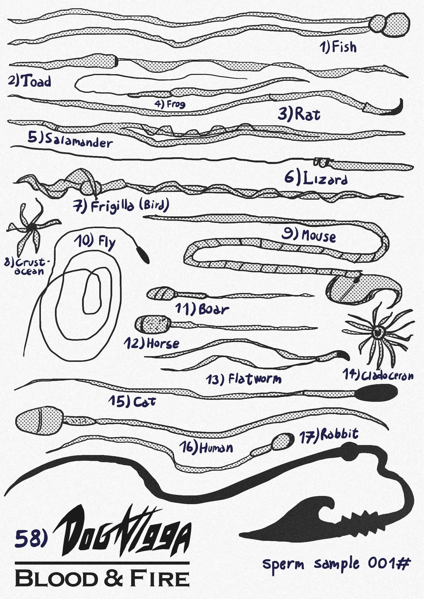 Dog Nigga Chapter 58 - Page 1