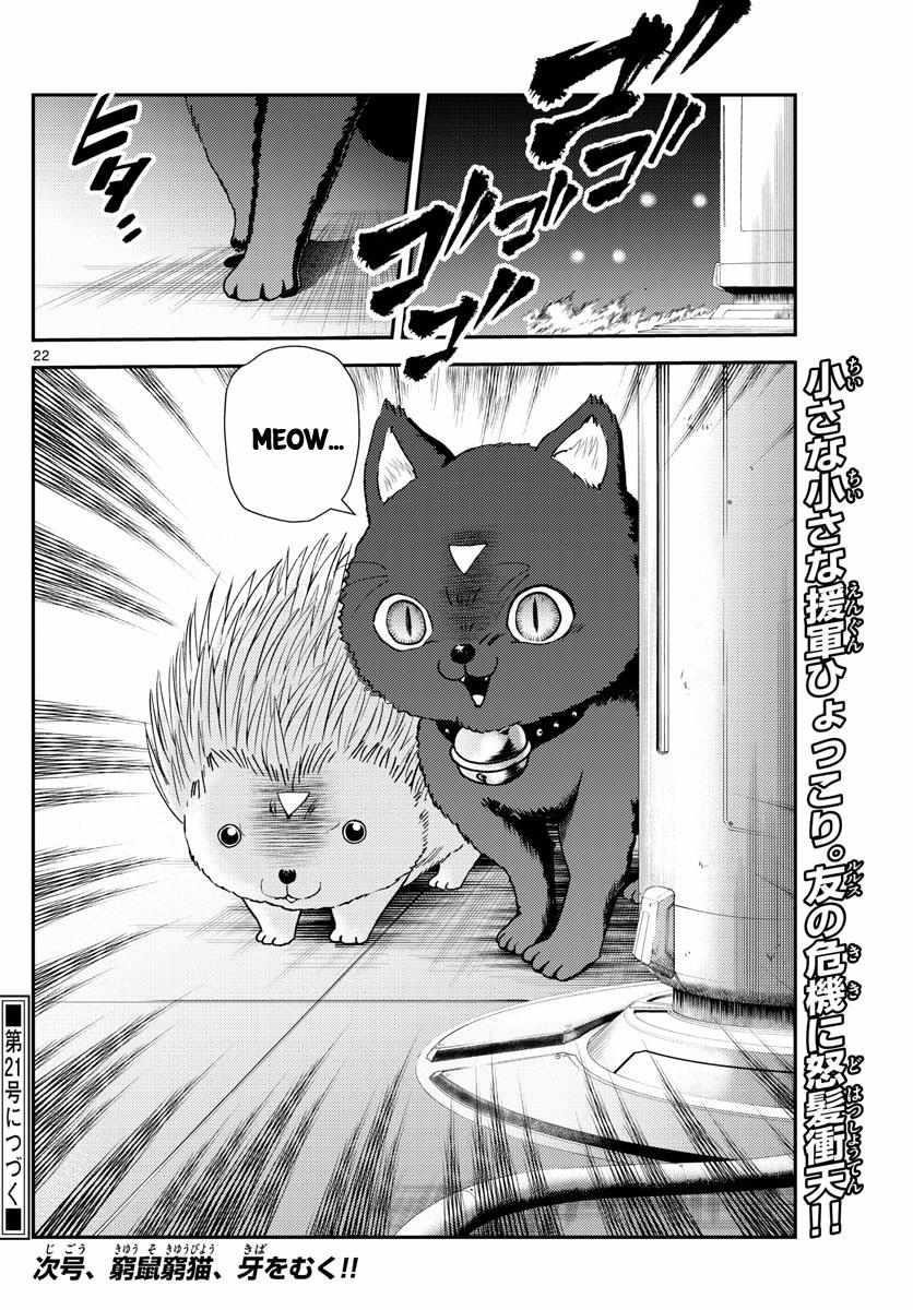 Kimi Wa 008 Chapter 247 - Page 22