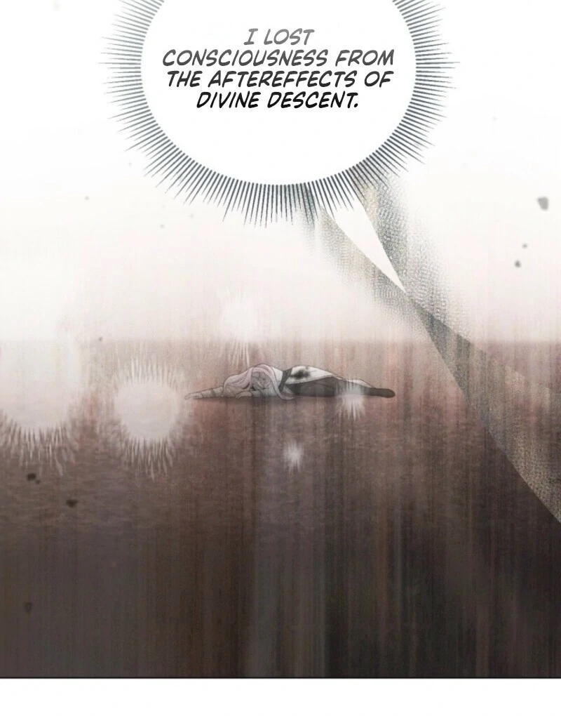 A Transmigrator’s Privilege Chapter 106 - Page 12