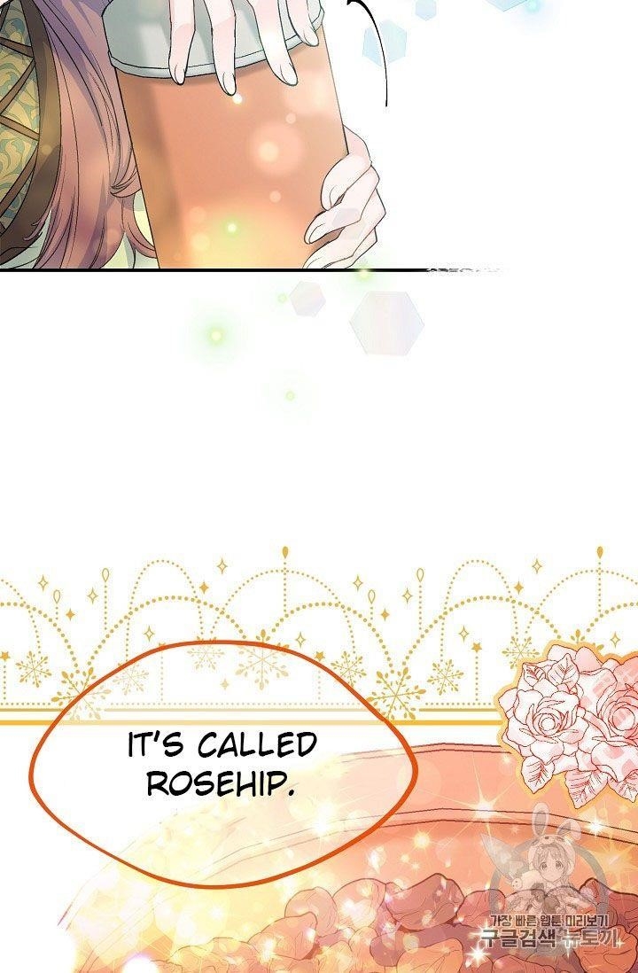 The Duchess’ 50 Tea Recipes Chapter 62 - Page 3