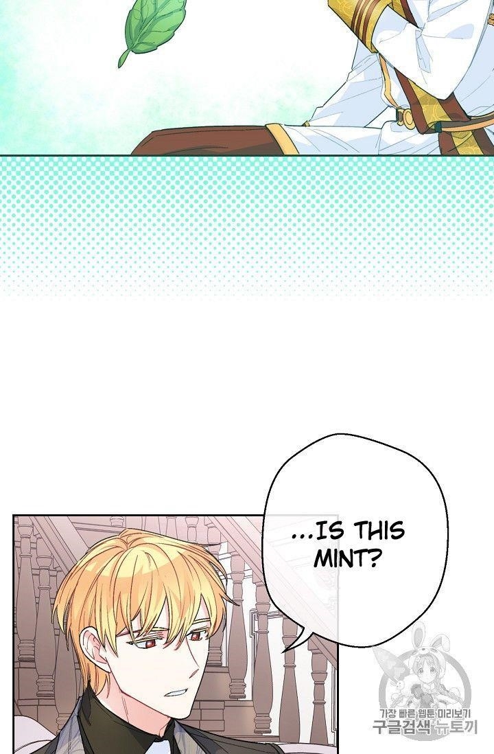 The Duchess’ 50 Tea Recipes Chapter 77 - Page 38