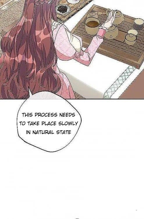 The Duchess’ 50 Tea Recipes Chapter 97 - Page 39