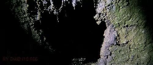 Pumpkin Night Chapter 19.5 - Page 9