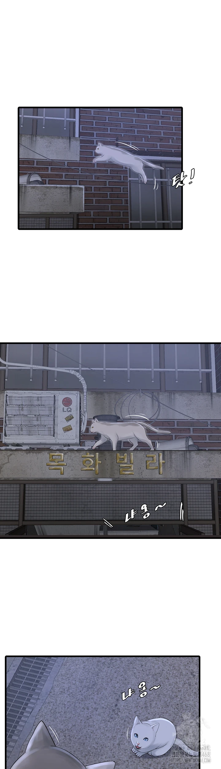 The Hole Diary Raw Chapter 78 - Page 10