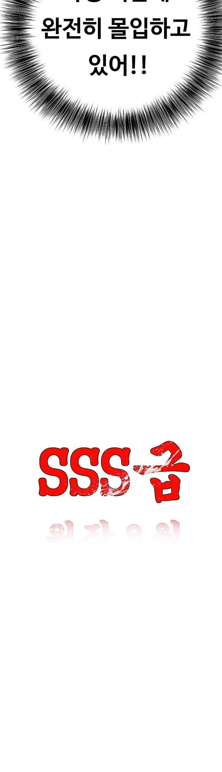 SSS-Class Undercover Agent Raw Chapter 33 - Page 9