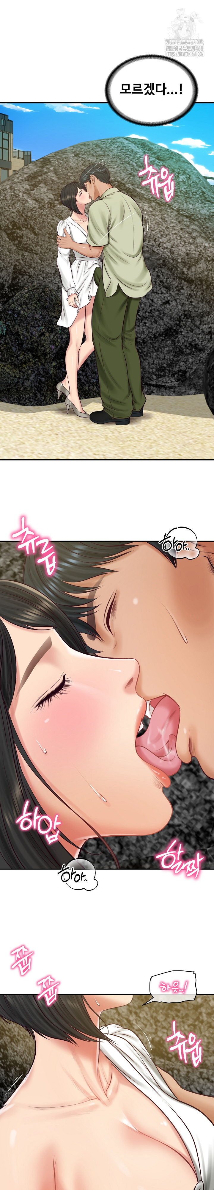 The Billionaire’s Monster Cock Son-In-Law Raw Chapter 69 - Page 17