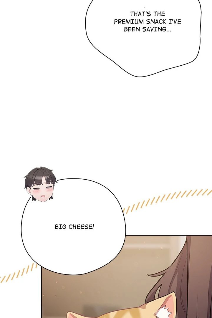 The General Is Here! Chapter 33 - Page 61