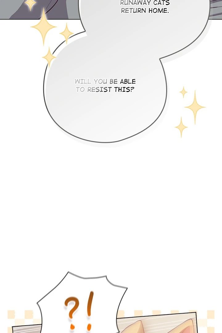 The General Is Here! Chapter 33 - Page 65