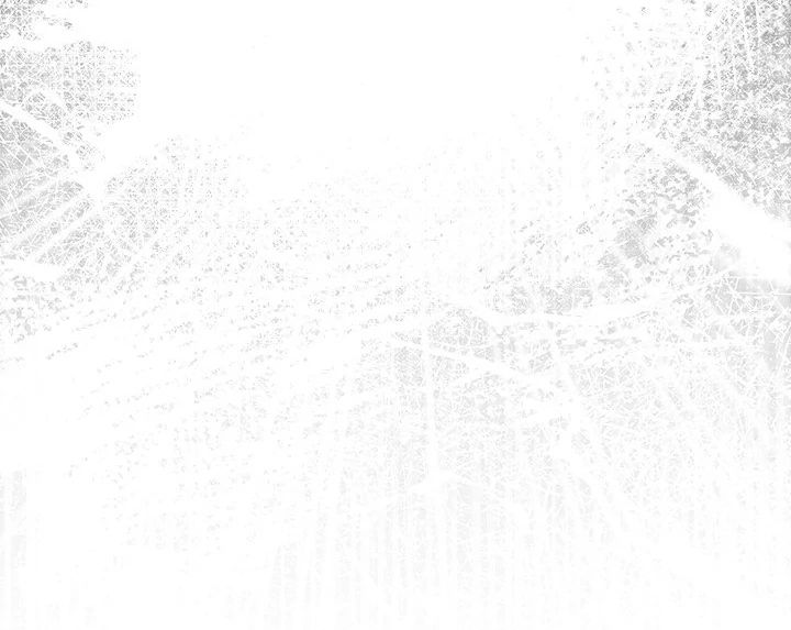 The General Is Here! Chapter 39 - Page 80