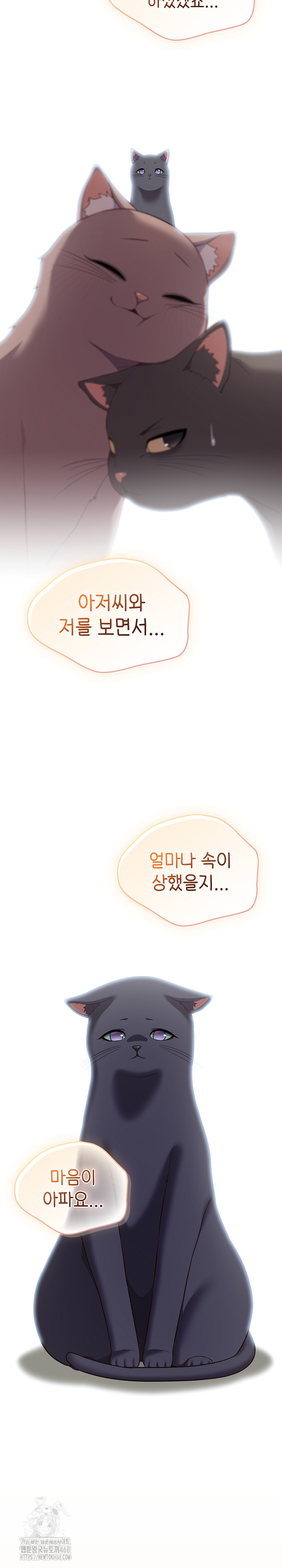 The General Is Here! Raw Chapter 46 - Page 9