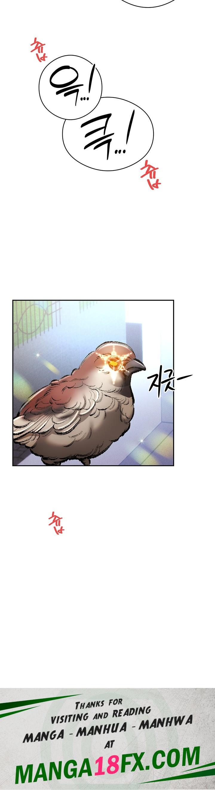 Taming Females to Rise in Status Raw Chapter 19 - Page 61