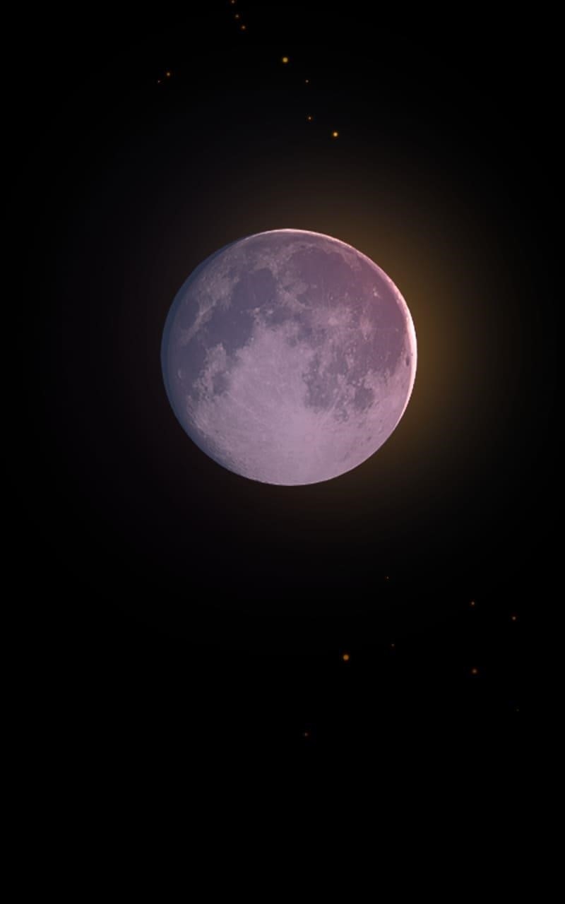 The Last Bloodline Chapter 60 - Page 77