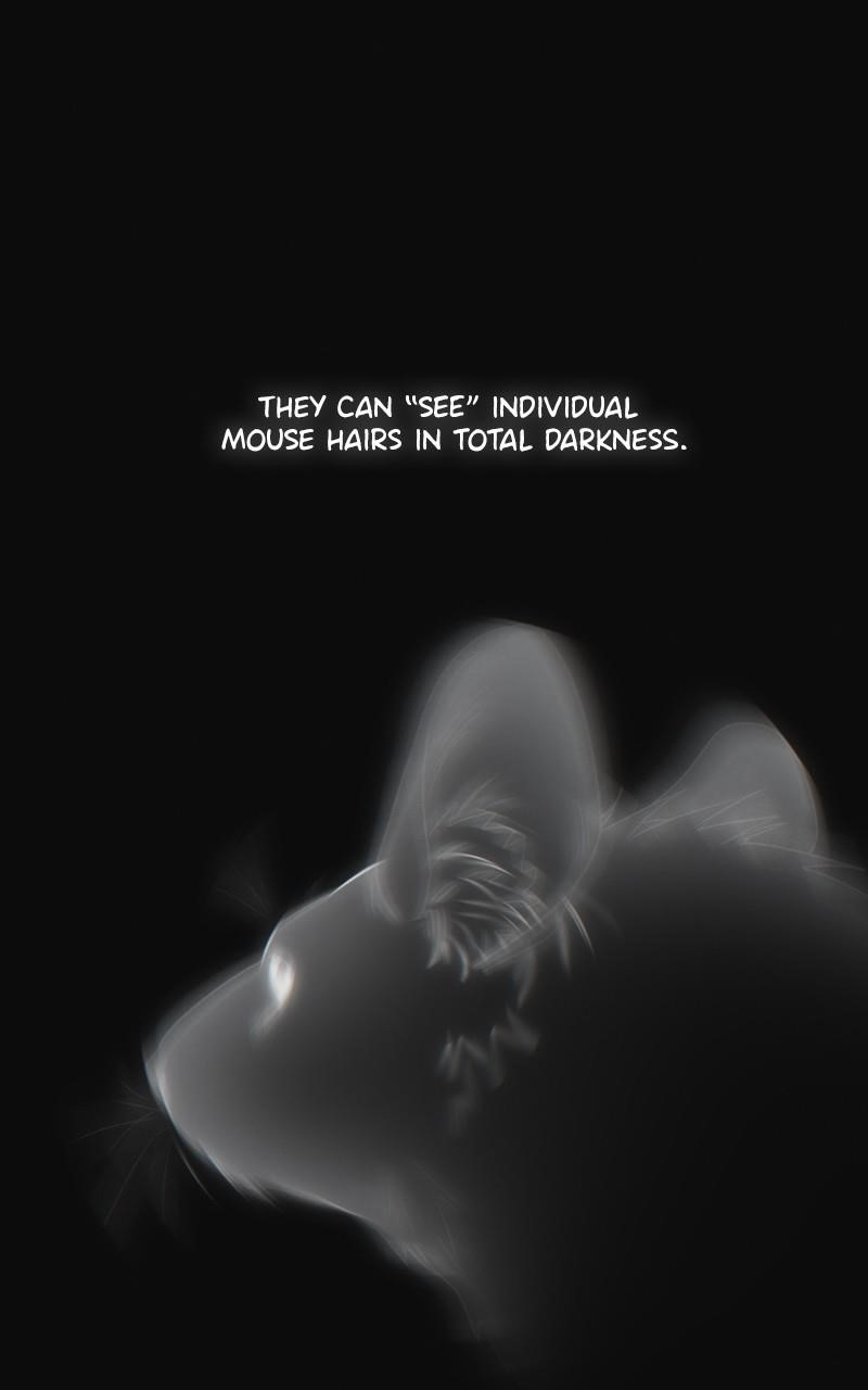 The Last Bloodline Chapter 7 - Page 16