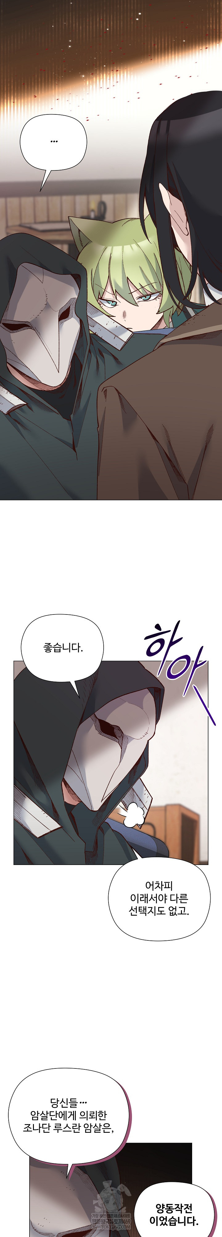 I Will Protect the Lady Raw Chapter 49 - Page 9