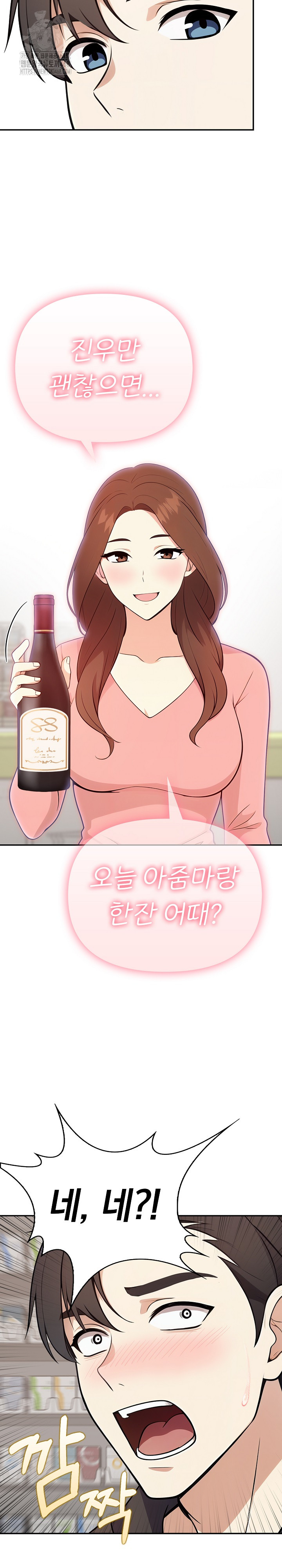 My Secret With My Auntie Raw Chapter 3 - Page 27