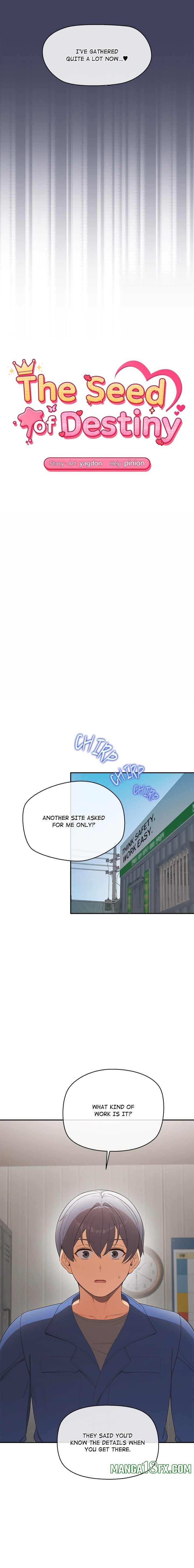 The Seed of Destiny Chapter 22 - Page 3