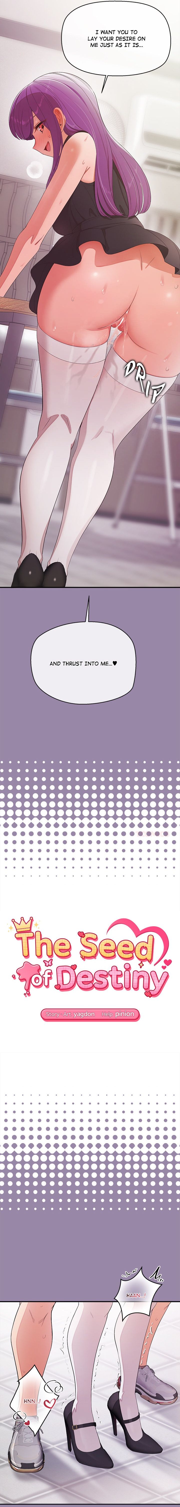 The Seed of Destiny Chapter 23 - Page 2