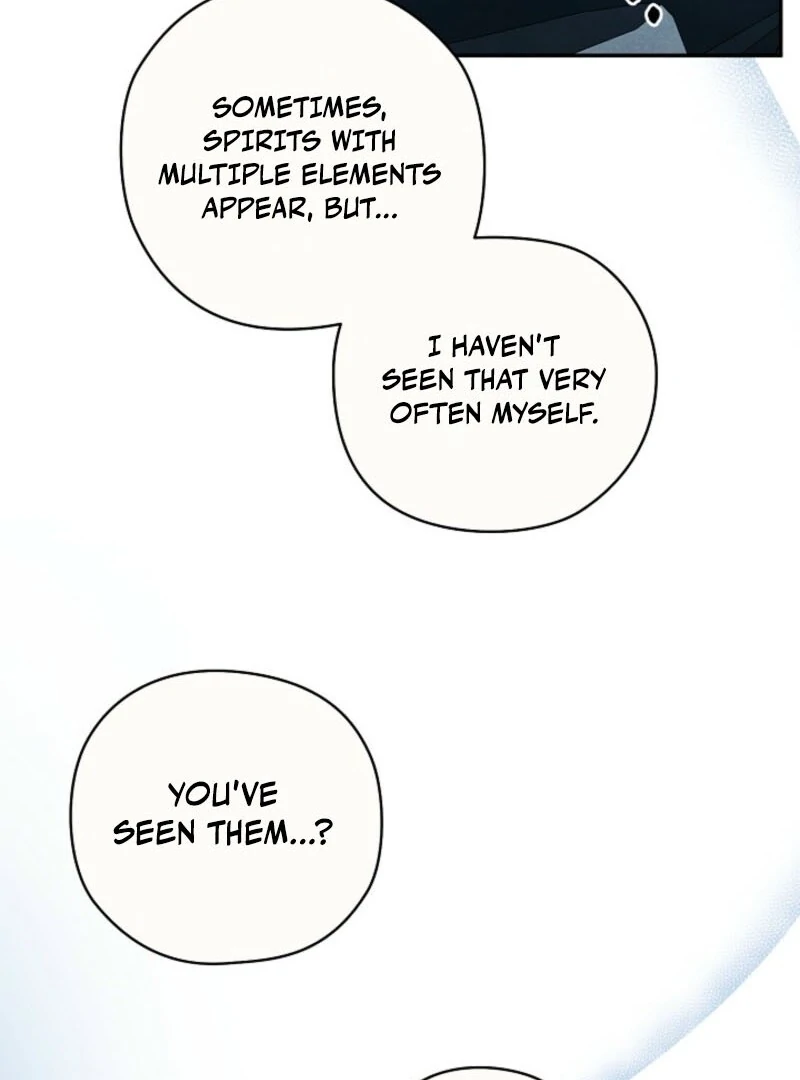 S-Class Spirit Master’s Taming Diary Chapter 46 - Page 71