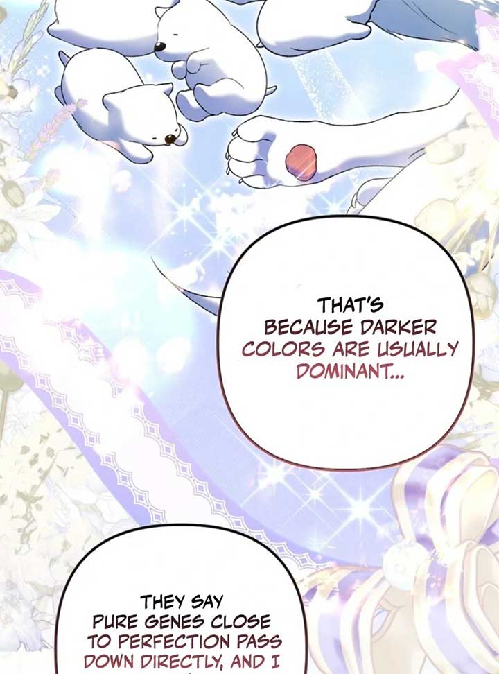 Rejecting The Perfect Marriage Chapter 34 - Page 62