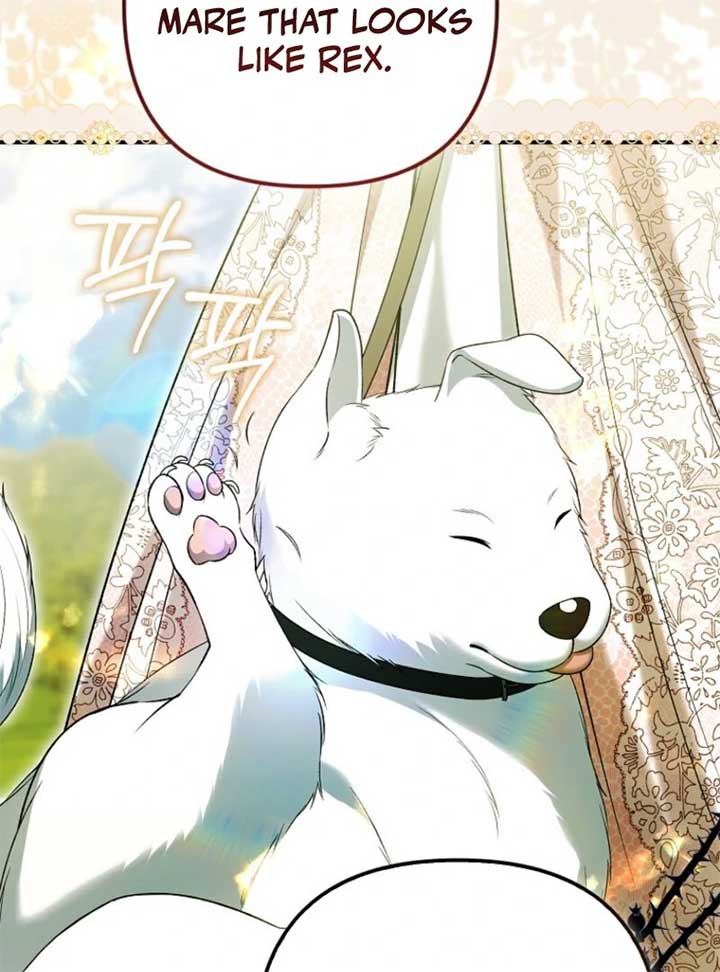 Rejecting The Perfect Marriage Chapter 34 - Page 77