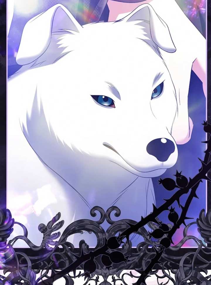 Rejecting The Perfect Marriage Chapter 36 - Page 56