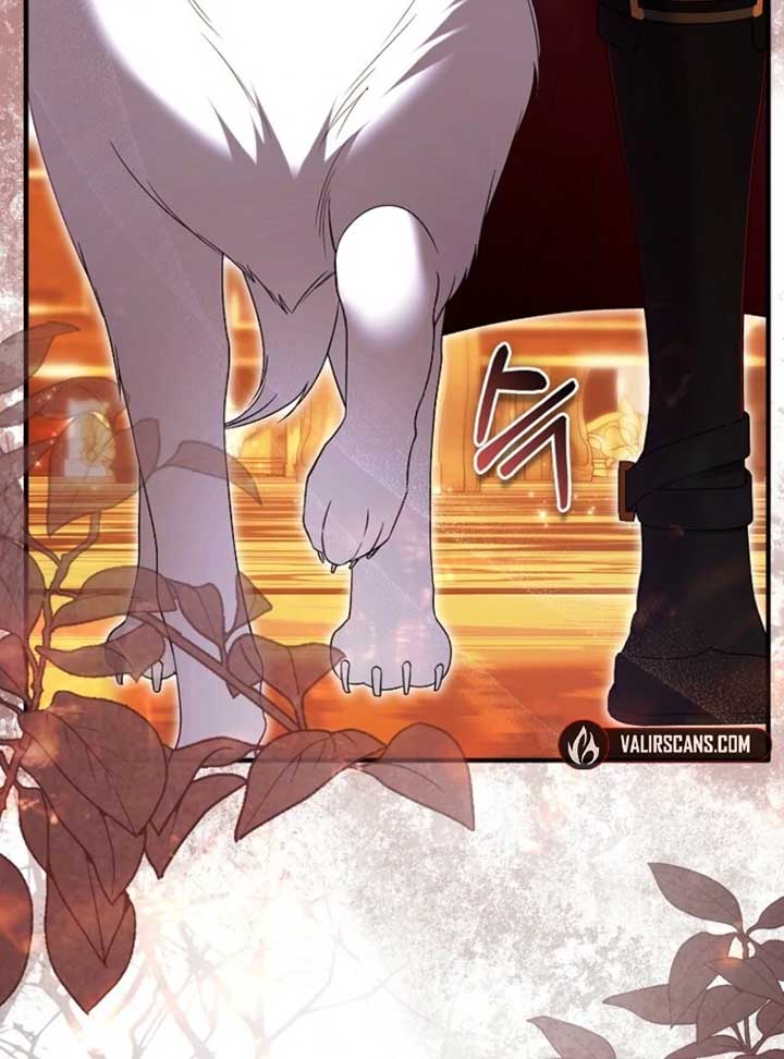 Rejecting The Perfect Marriage Chapter 36 - Page 69