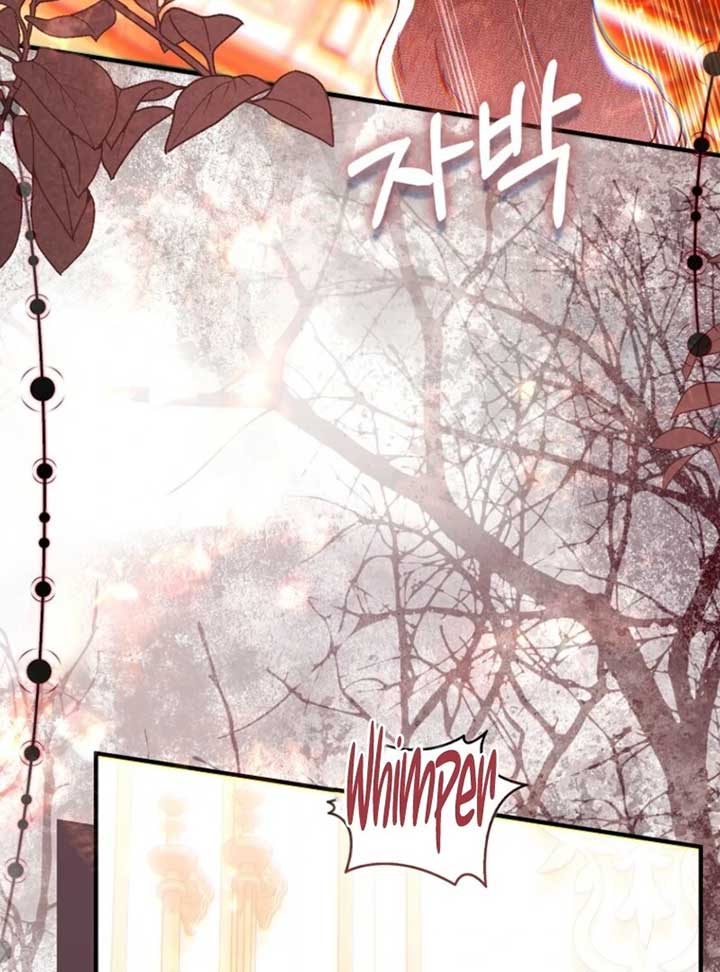 Rejecting The Perfect Marriage Chapter 36 - Page 71