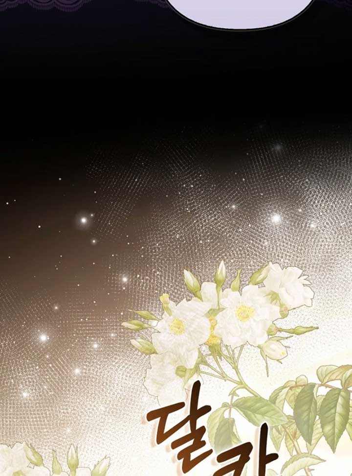 Rejecting The Perfect Marriage Chapter 37 - Page 76