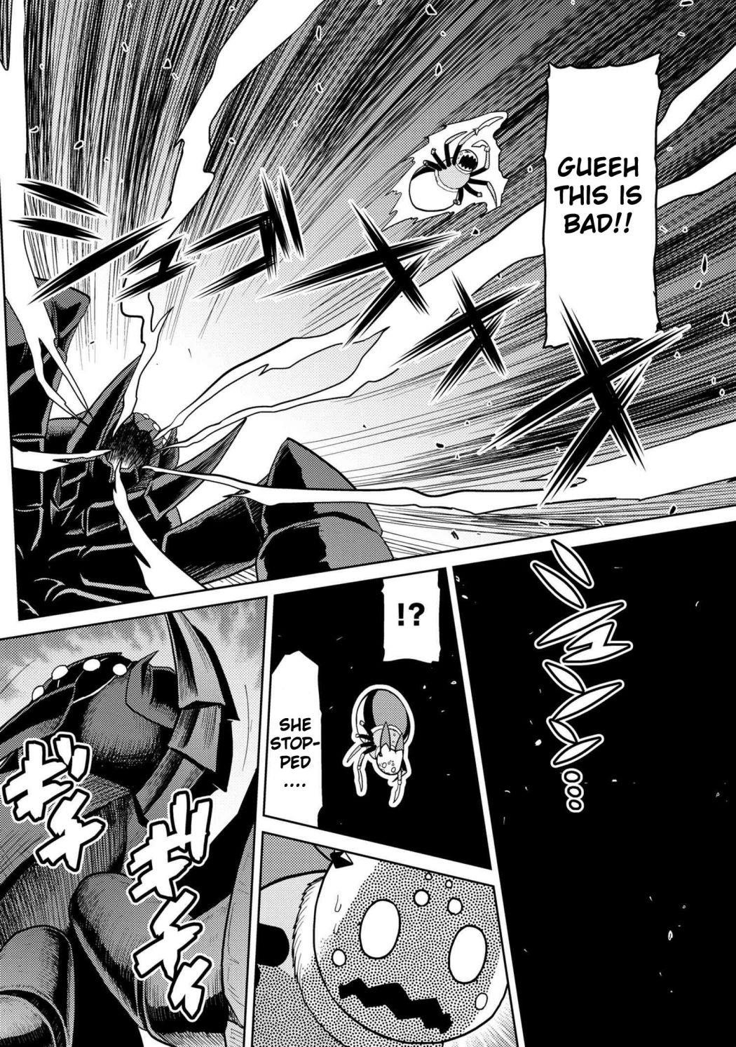 Kumo Desu Ga, Nani Ka? Chapter 46.1 - Page 12